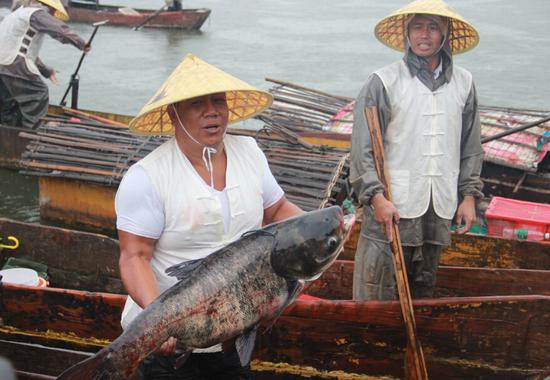 西昌邛海开海祭祀 渔民网到大鱼乐开花儿