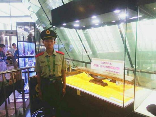 紅豆杉樹化石在第三屆中國（湖南）國際礦物寶石博覽會上