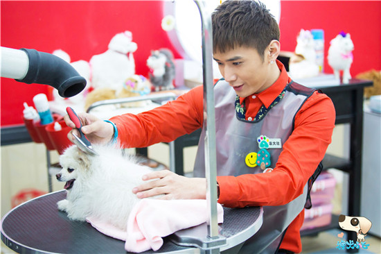 《神犬小七》制片谈宠物理想