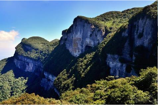 金佛山
