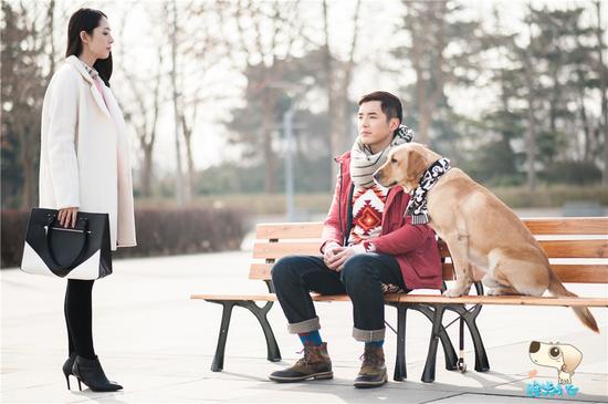 狗和男友掉海里先救谁?郭碧婷:先救狗