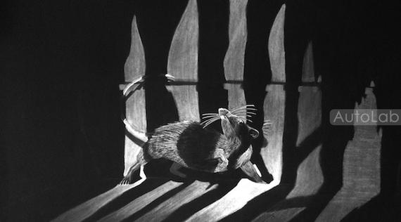 悲剧,TrueCar易主!汽车电商上市不赚钱