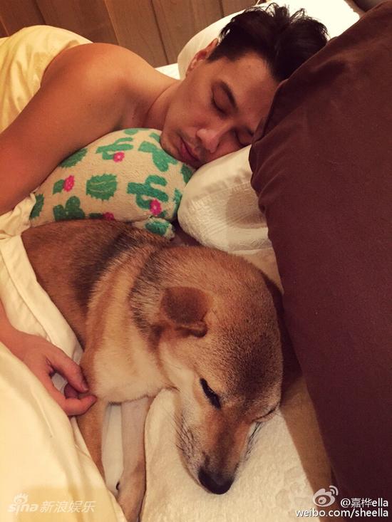 ELLA的老公和狗