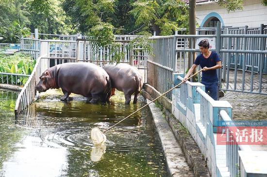 浮住人口_美国设计出 海上漂浮城市 可供5万人住在家里环游世界(3)