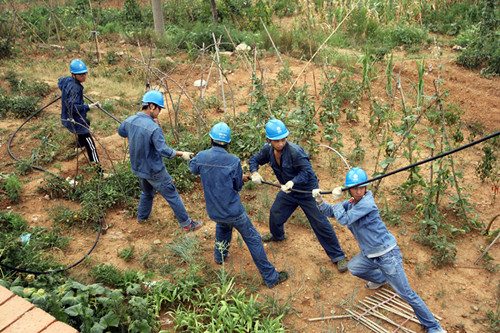 電建員工們在高溫酷暑中對樊江線進行升級改造
