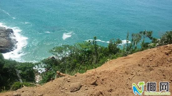 海岸边林木被毁坏