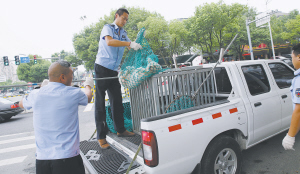 宁波市区租房里养5条狗噪音扰民 狗主人拒绝开