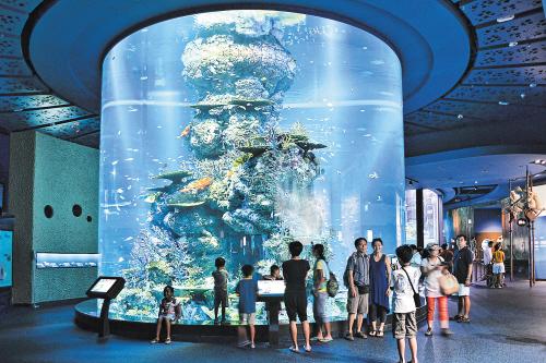 高6米、直径4米的海洋生物景观廊柱将成为海立方海世界的一大亮点。（效果图）