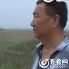 东营绿化工程破坏水利设施 千亩桑田变回盐碱地