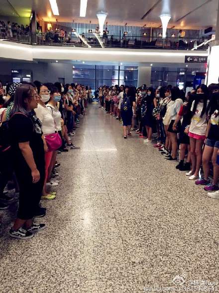 数百粉丝等候杨洋