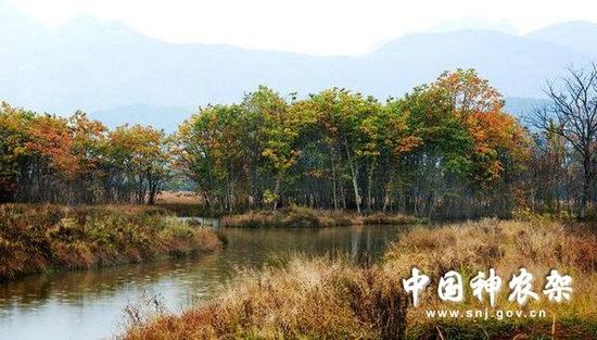 巫山至神农架旅游路线形成 通行时间仅2.5小时