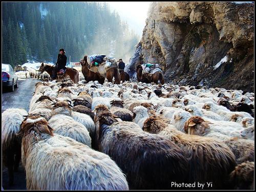 马背上的候鸟哈萨克族人 一年四季转场的游牧