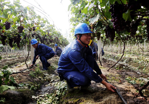 工作人員上門檢查灌溉用電