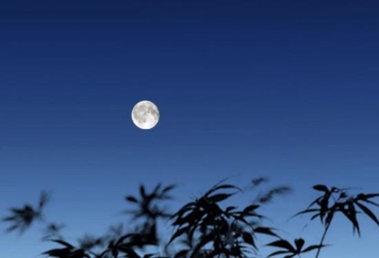 公案点密：马祖法嗣