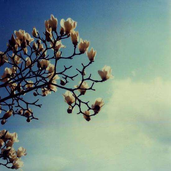 因一切有为法，皆如梦幻泡影