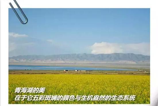 海马001
