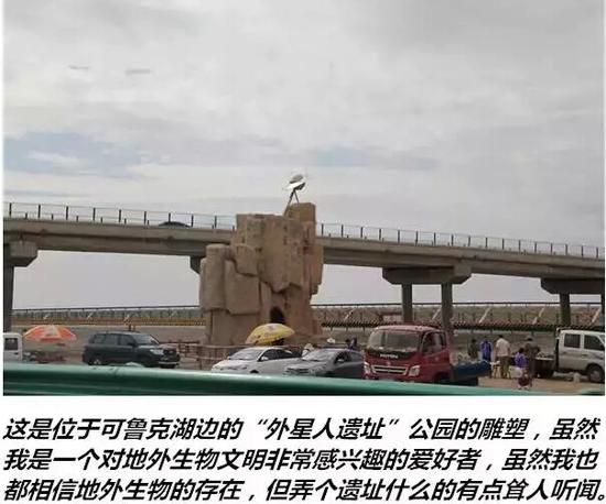 海马005