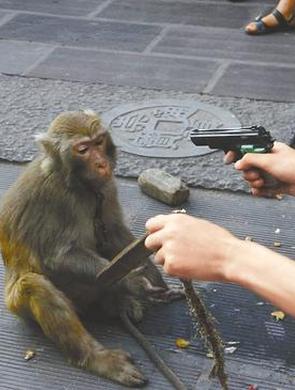 遂宁男街头打骂猴子进行表演挣钱