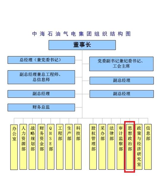 组织结构图。图片来源：中海石油气电集团有限责任公司