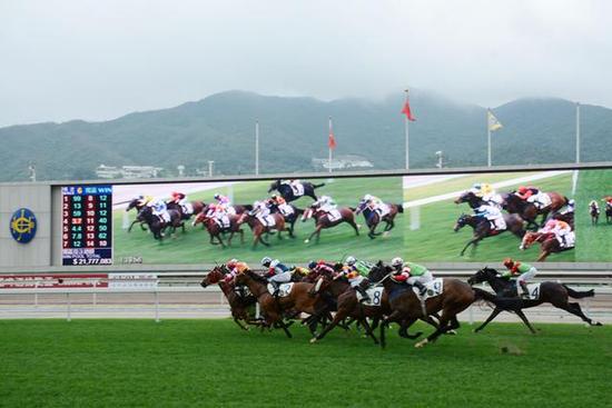 香港赛马会收入流向调查 缴税最多最大慈善机