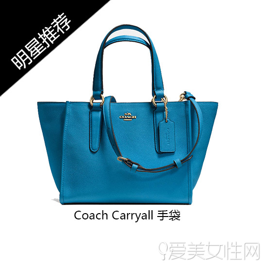 Coach手袋