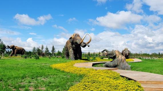 大美草原的无限向往 呼伦贝尔自驾游_成都汽车