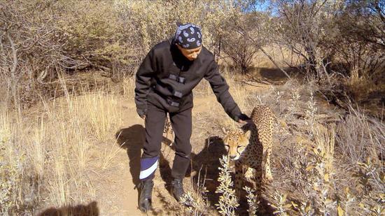 极速2韩庚吴昕非洲遇猎豹吓呆