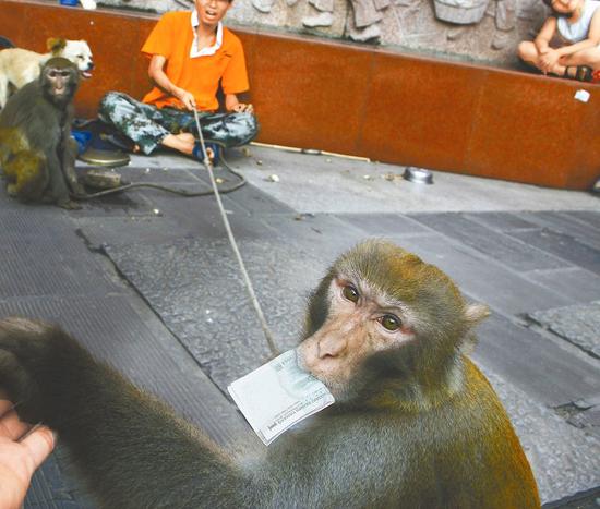 男子打骂卖艺猴子 围观群众抵制