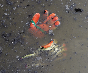 遗落在爆炸现场水坑中的手套。