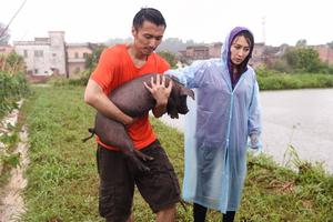 《锋味》陈伟霆冒雨寻八戒 霆锋打咏春拳