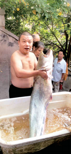 潘先生展示钓到的大鲶鱼