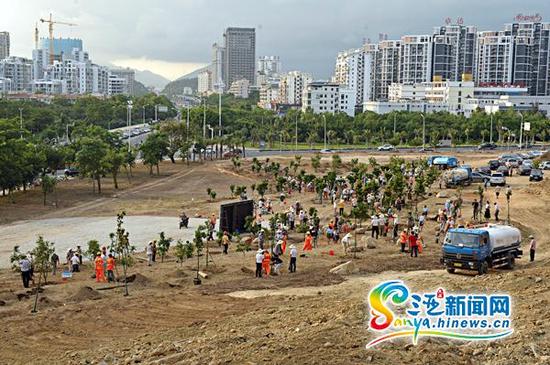 三亚市委市政府广纳谏言，不惜代价，将项目用地置换回来，改成城市绿地，并规划种植龙眼、荔枝、菠萝蜜、番石榴、释迦、绿橙、杨桃、诺丽果等热带果树，建成市民共同享用的百果园。 (三亚新闻网记者邓松摄)