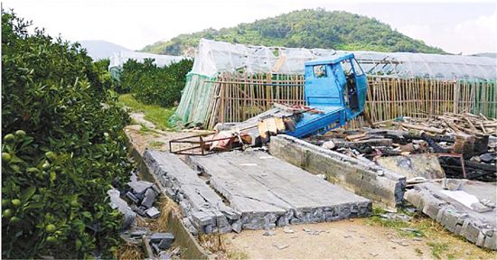象山定塘人口_象山晓塘