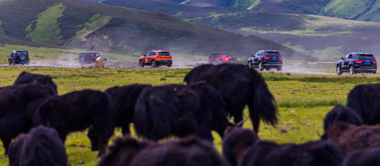 ep极致旅行为生活做减法为人生做加法_郑州汽