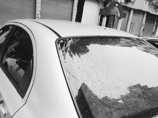 绍兴一居民楼顶搭棚种菜 掉下石子砸坏楼下两