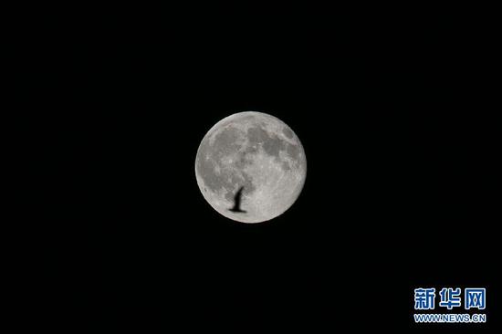 7月31日，在美国纽约曼哈顿，一只鸟从“蓝月亮”前飞过。所谓“蓝月亮”并不是指人们用肉眼可以看到蓝色调的月亮，而是指天文历法中的一种特殊现象。当一个公历月出现两次月圆之夜时，第二个满月就被称为“蓝月亮”。新华社记者李木子摄 