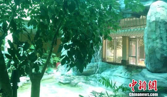 香堤灣溫泉室內(nèi)湯池一角 劉鵬 攝