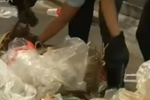 香港嫖客20刀刺死失足女 疑因不滿服務