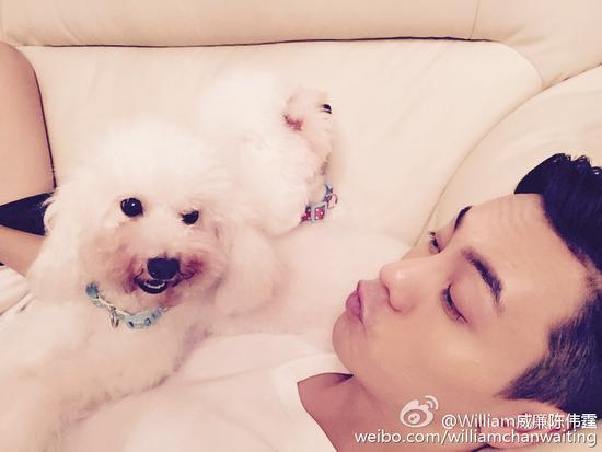 等等萌还是狗狗萌?