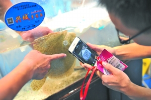 周末乐逛广博会买买买 刷二维码可查鱼产地