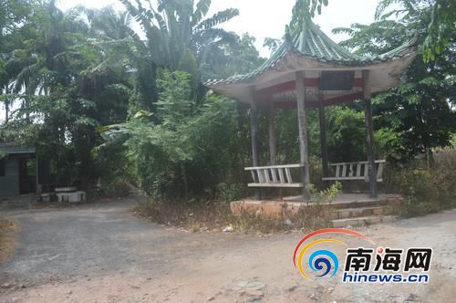 被荒废的绿地内,还有一个破旧的亭子。南国都市报记者张期望摄