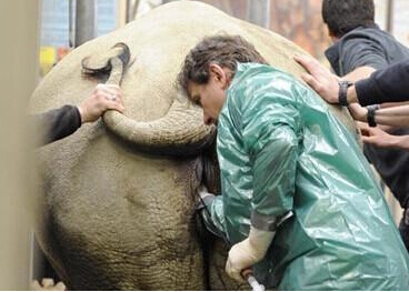 颠覆三观的奇葩职业:职业闻屁师 木鸟短租试睡员_新浪青岛_新浪网