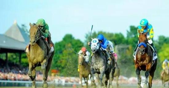 （▲选自America's Best Racing，「雪窖冰天*」{左}，「冰雪覆盖*」{中}，「美国法老」{右}）
