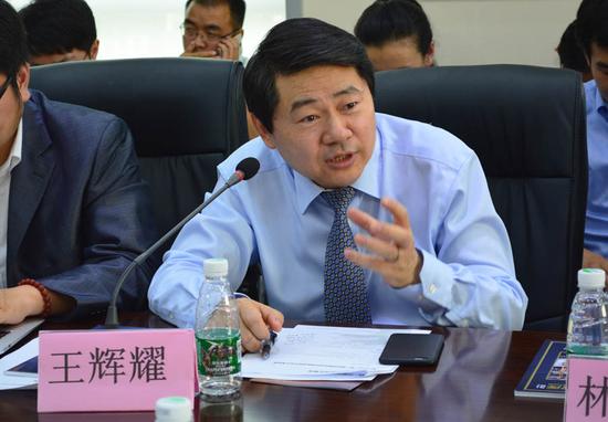 王辉耀 CCG主任