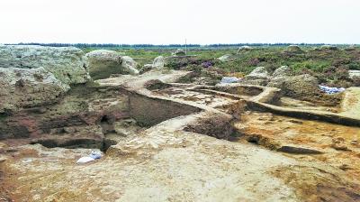 这是位于新疆新和县通古斯巴什古城东北角的居址发掘现场(8月30日摄)。