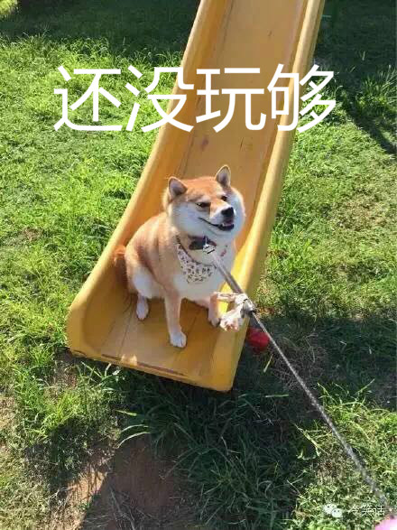 我有姿势我自豪每日囧吐槽:送给不想开学的你