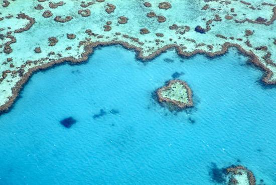 No.2 澳大利亚大堡礁（Great Barrier Reef，Australia）