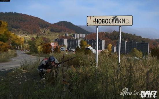 DAYZ