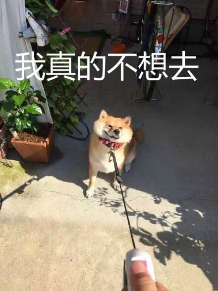 我有姿势我自豪每日囧吐槽:送给不想开学的你