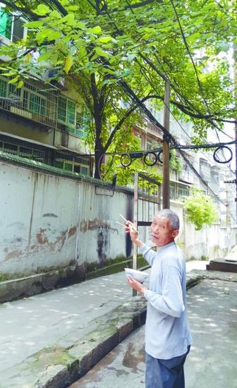 胡大爷经常喂猴子